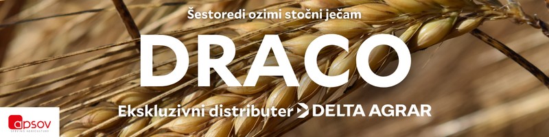 banner-image