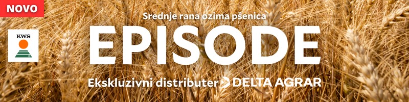 banner-image