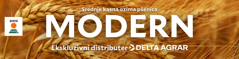 banner-image