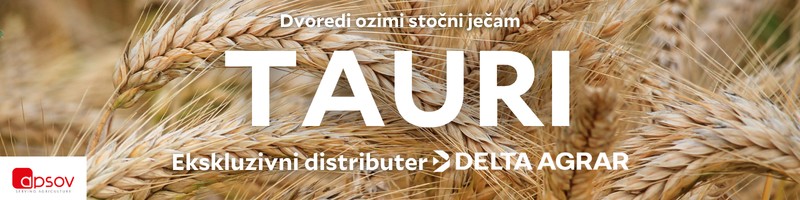 banner-image